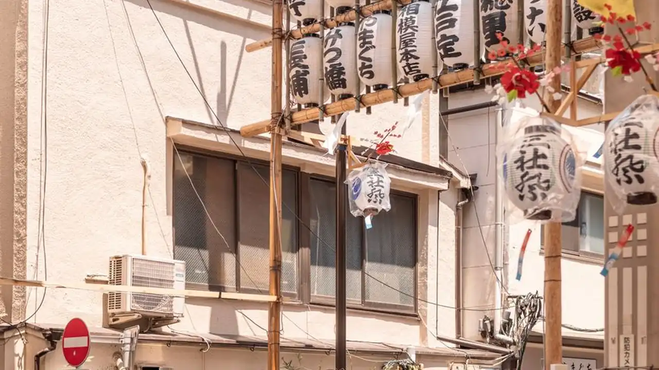 黄色app在线截图1
